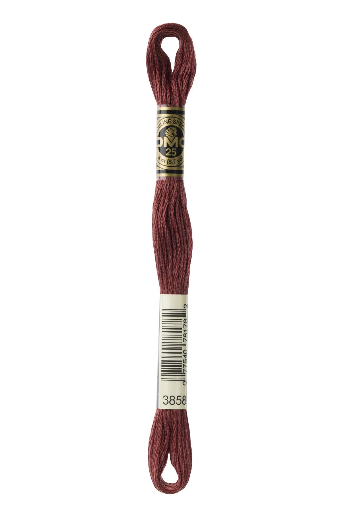 DMC MULİNE İPLİK 3858