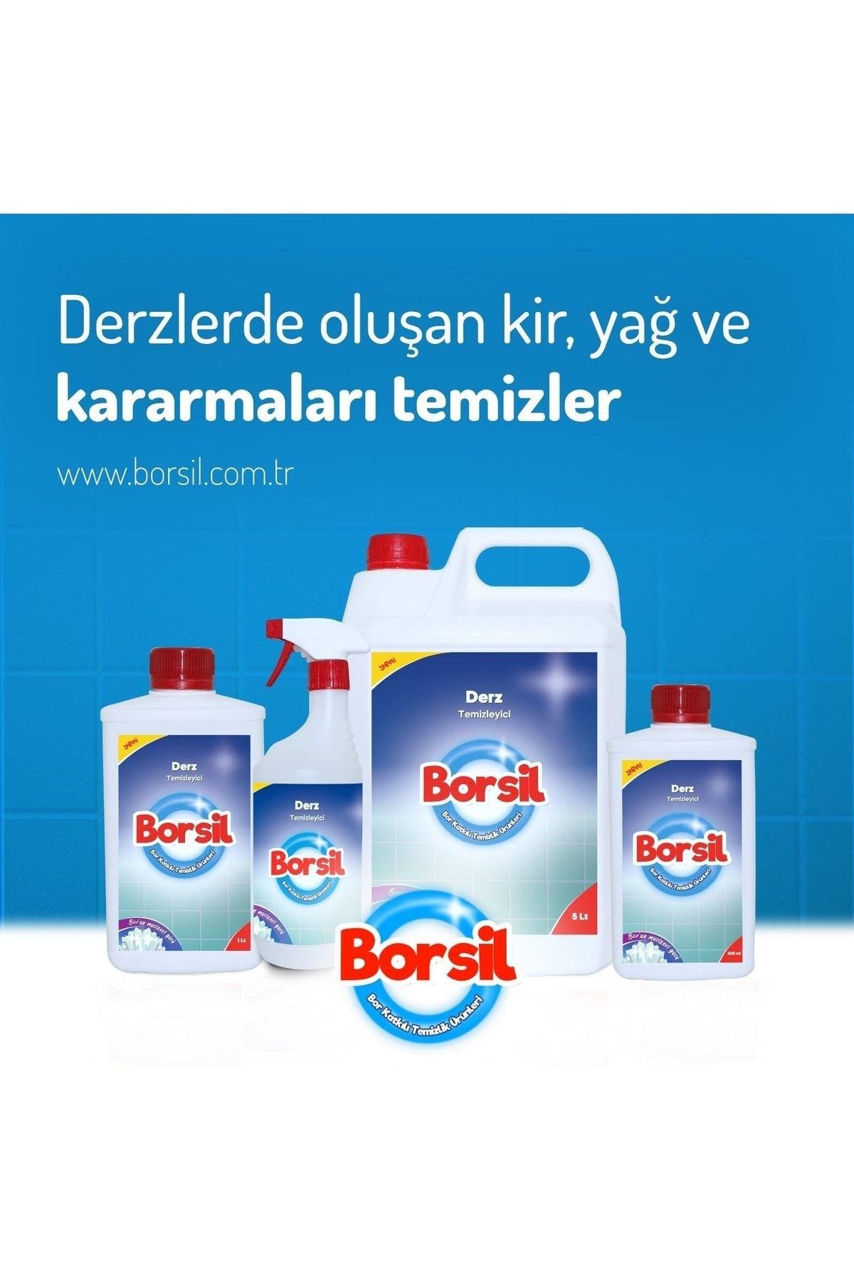 Derz Temizleyici 500 ml