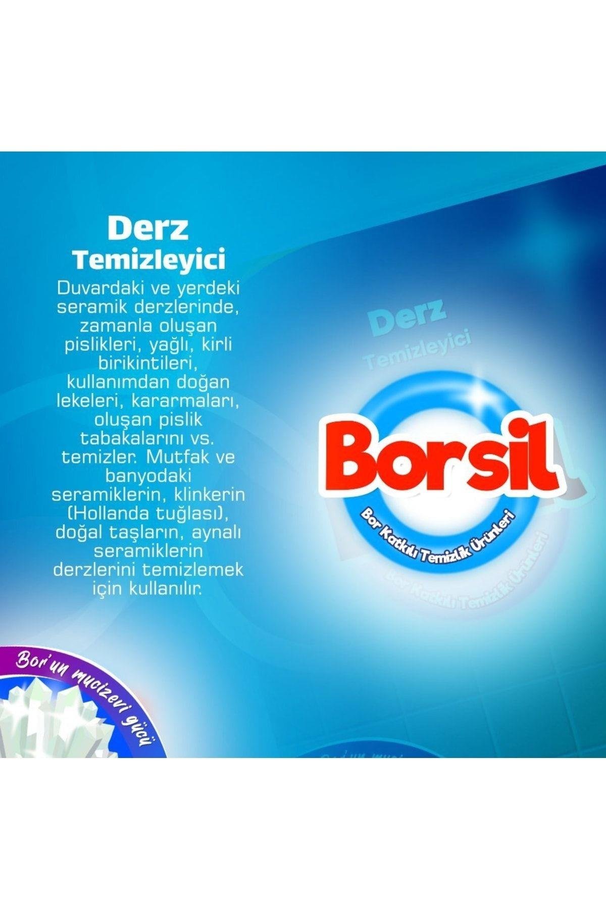Derz Temizleyici 500 ml