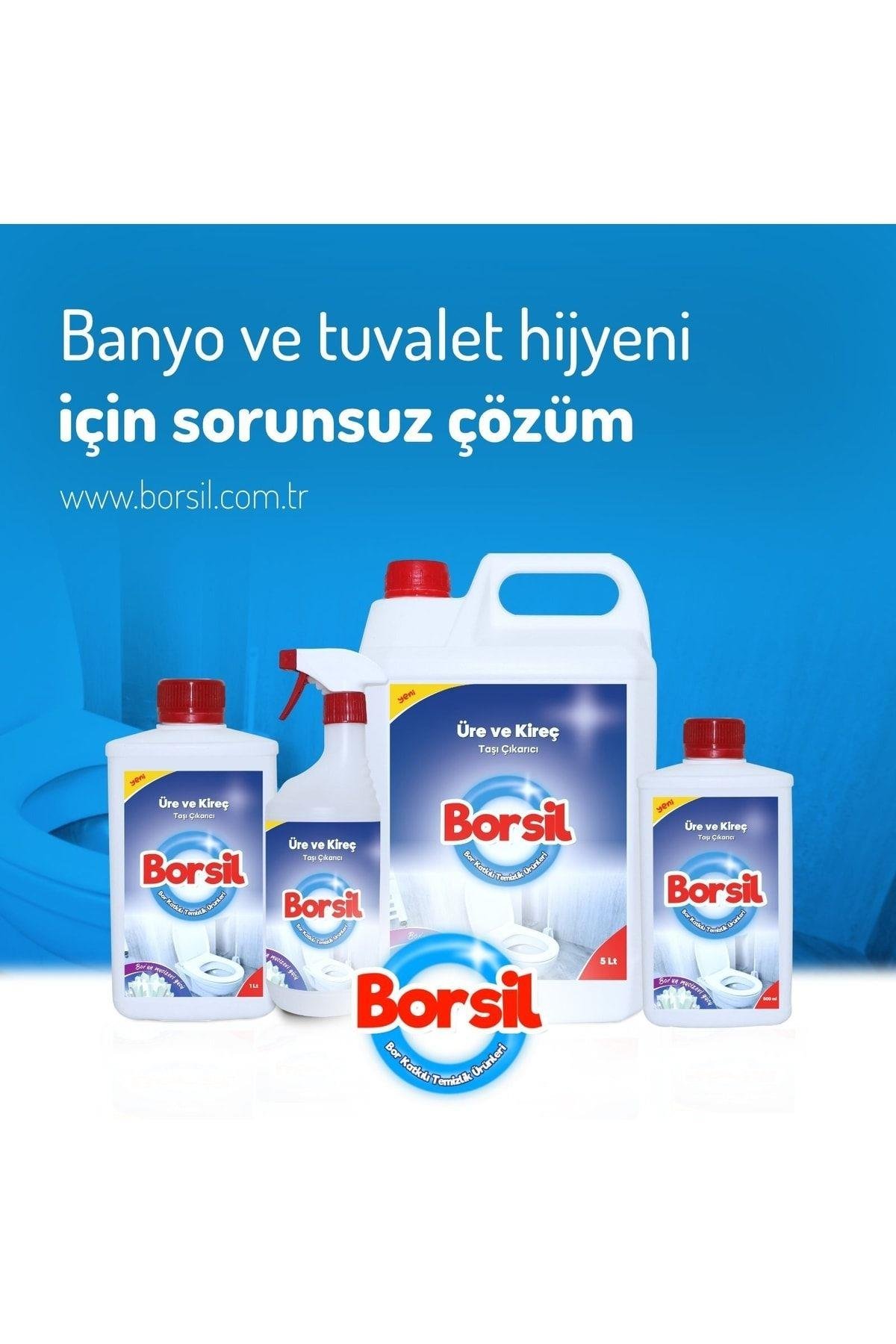 Üre Ve Kireç Taşı Çıkarıcı 1 L