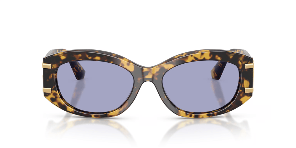 DOLCE&GABBANA DG 4502 33301A 55