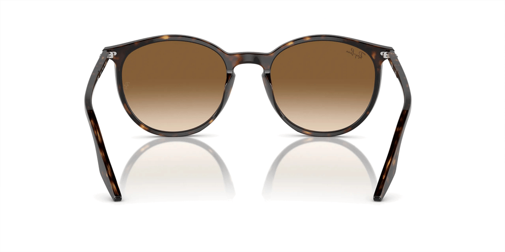 RAYBAN RB 2204 902/51 54