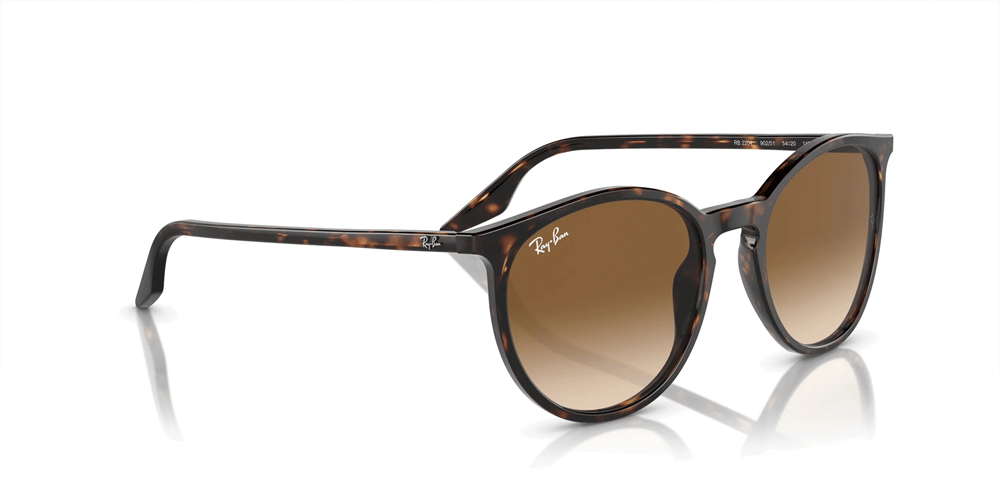 RAYBAN RB 2204 902/51 54