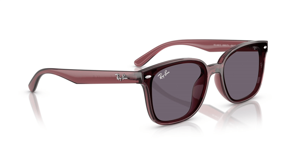RAYBAN RB 4461D 6593/73 64