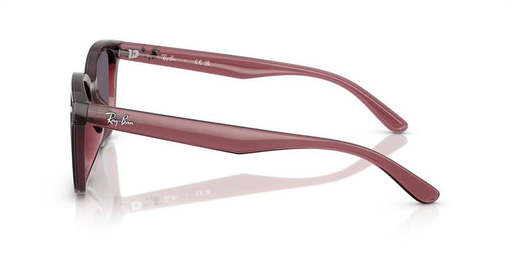 RAYBAN RB 4461D 6593/73 64