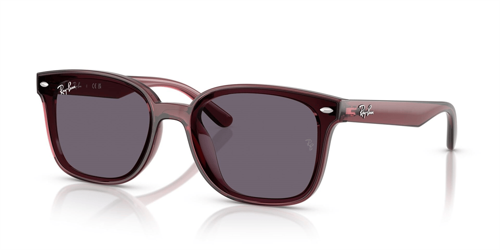 RAYBAN RB 4461D 6593/73 64