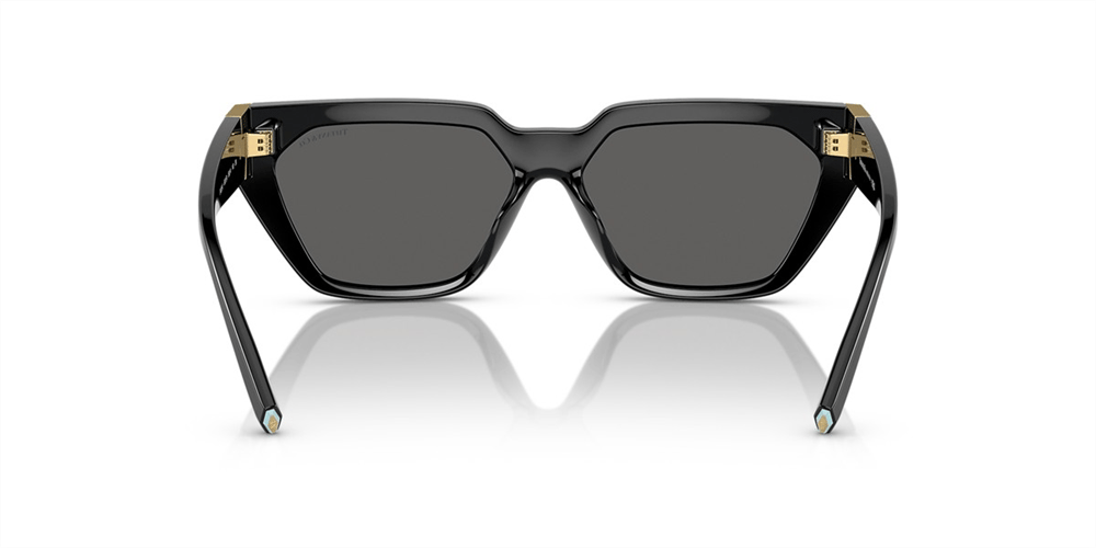 TIFFANY&CO. 4205U 8001S4 56
