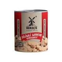 Rekolte Konserve Dilimli Mantar 2650 Gr (Net: 2650 Gr Süzme: 1150 Gr)