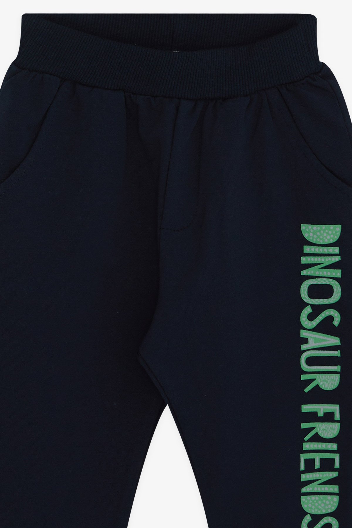 Breeze Erkek Bebek Eşofman Takımı Dinozor Baskılı Mint Yeşili (9 Ay-3 Yaş)