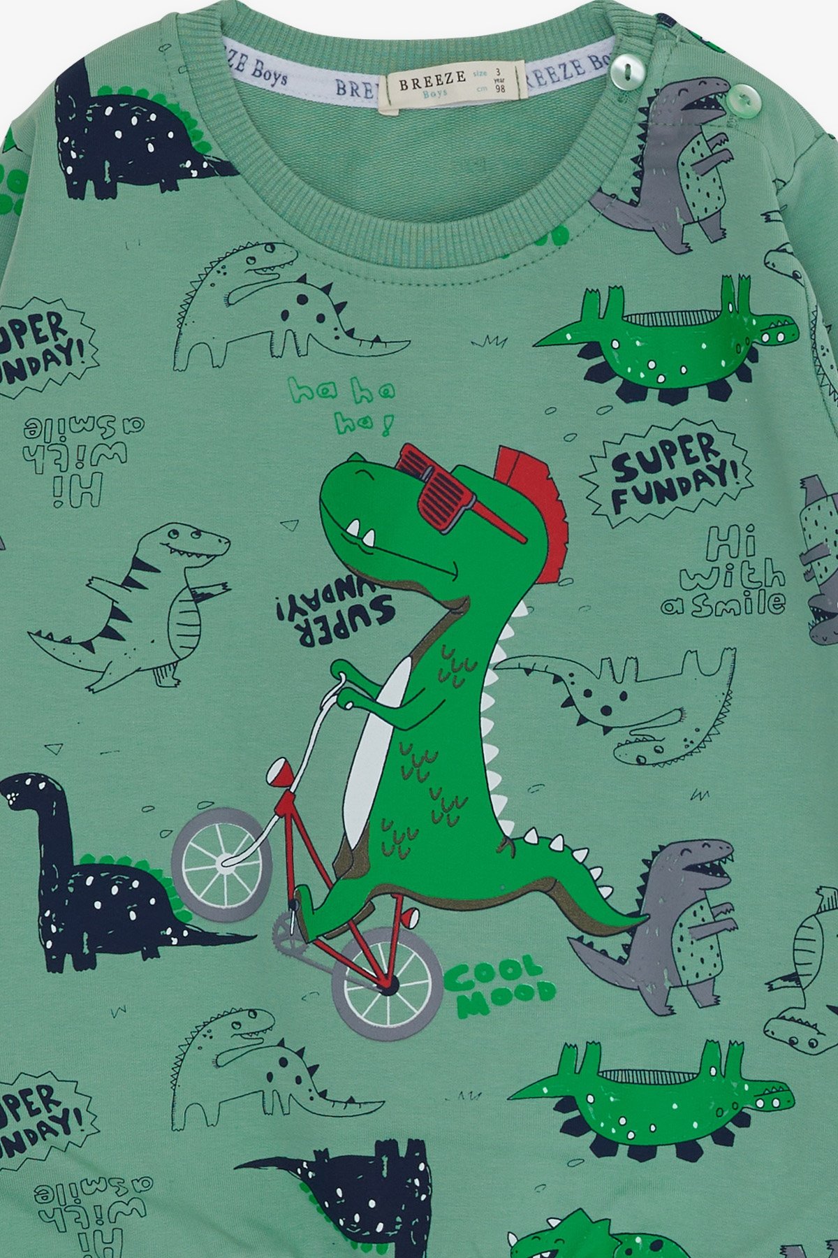 Breeze Erkek Bebek Eşofman Takımı Dinozor Baskılı Mint Yeşili (9 Ay-3 Yaş)