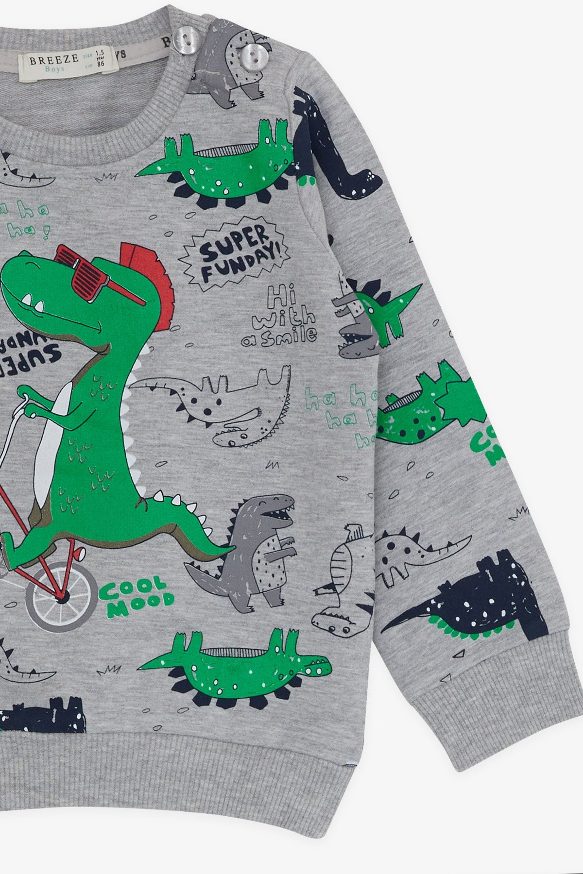 Breeze Erkek Bebek Eşofman Takımı Dinozor Baskılı Gri (9 Ay-1 Yaş)