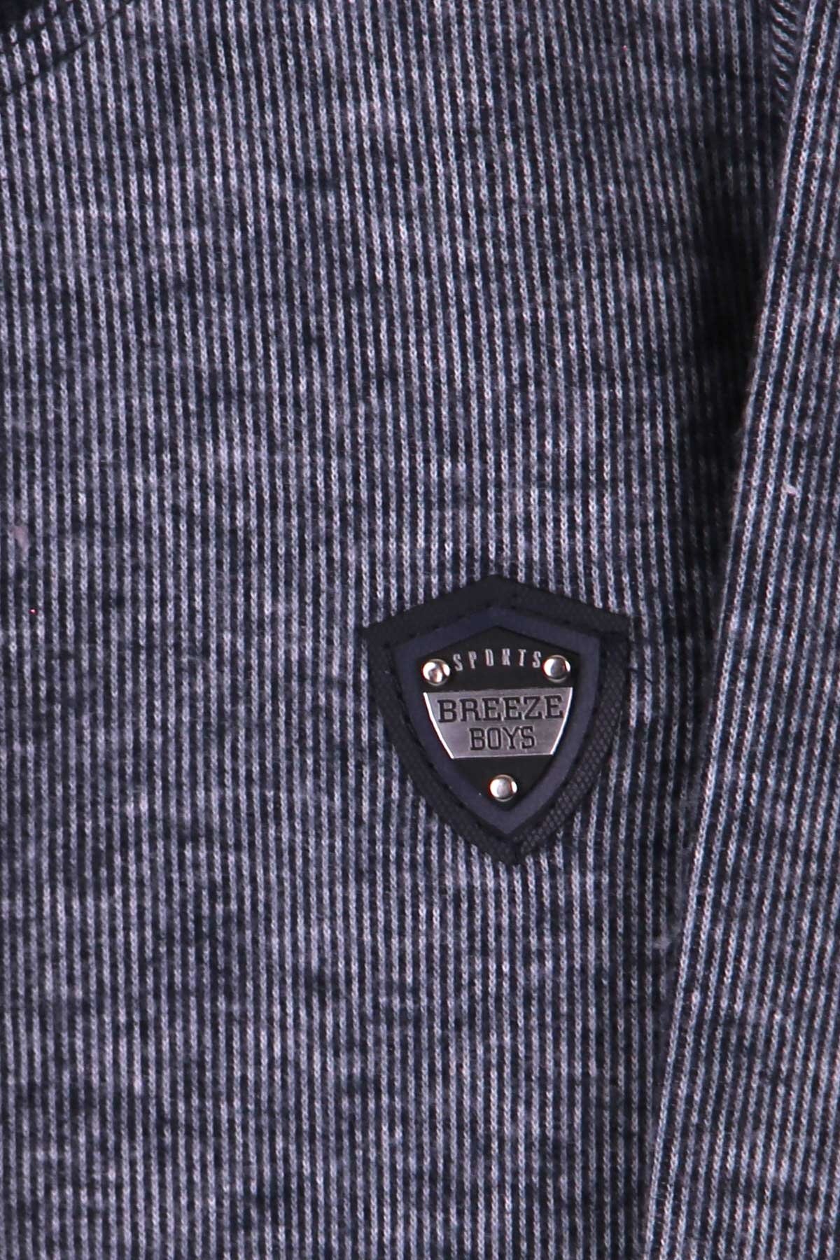 Breeze Erkek Çocuk Sweatshirt Kırçıllı Armalı Lacivert (2-6 Yaş)