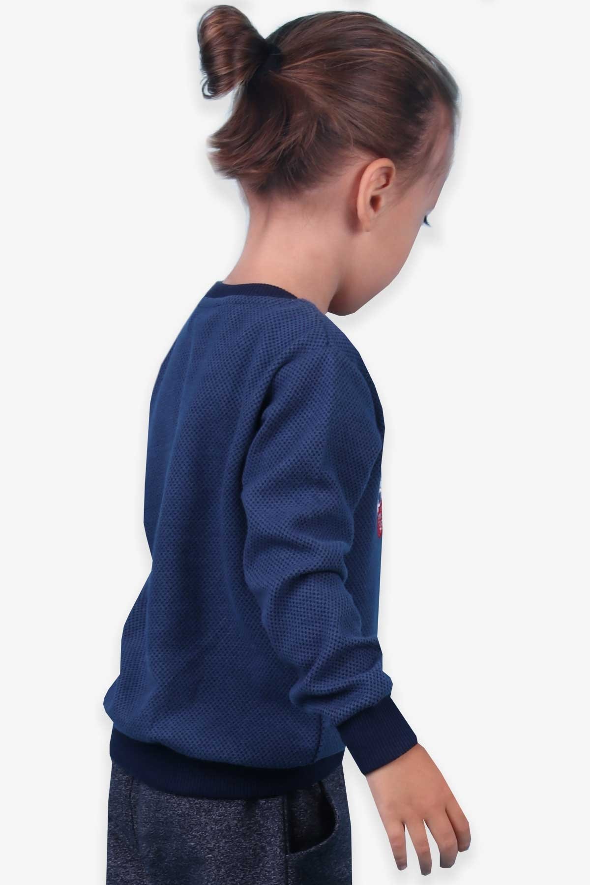 Breeze Erkek Çocuk Sweatshirt Nakışlı Koyu Mavi (2-6 Yaş)