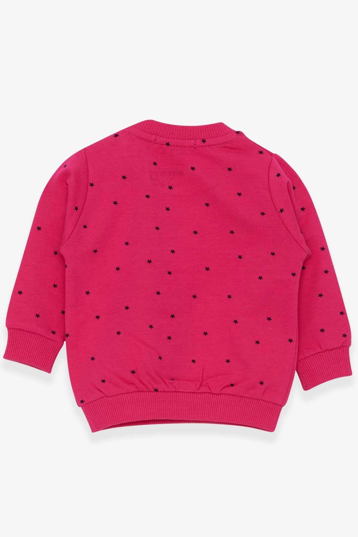 Breeze Kız Bebek Sweatshirt Mutlu Kedicikler Fuşya (4 Ay-1.5 Yaş)