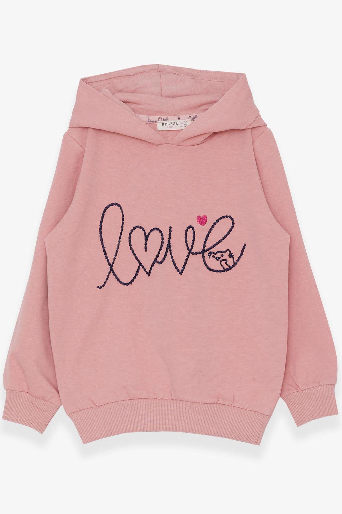 Breeze Kız Çocuk Sweatshirt Nakışlı Yazı Baskılı Somon (2-6 Yaş)