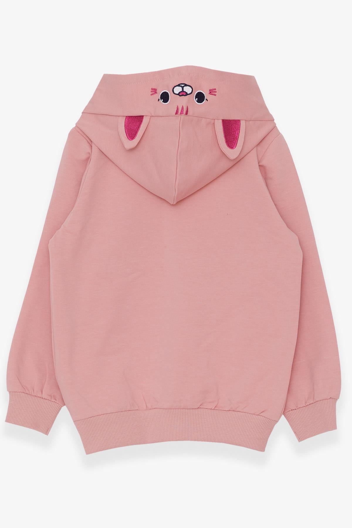 Breeze Kız Çocuk Sweatshirt Nakışlı Yazı Baskılı Somon (2-6 Yaş)