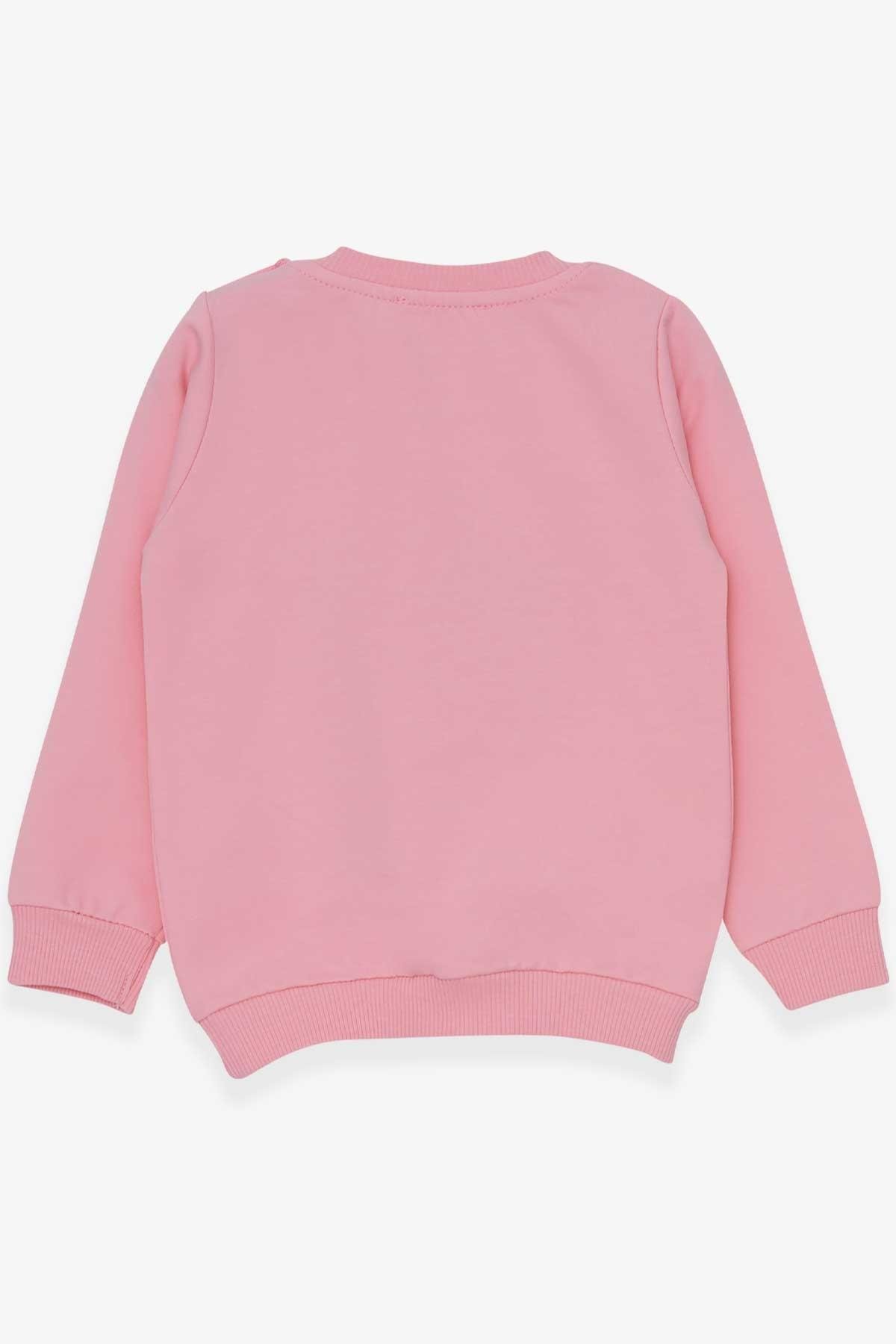 Breeze Kız Çocuk Sweatshirt Sevimli Hayvancıklar Baskılı Pudra (1.5-5 Yaş)