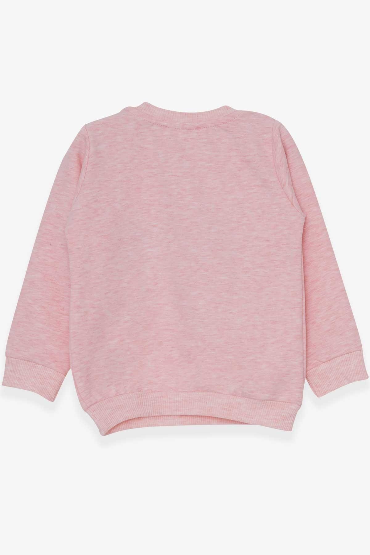 Breeze Kız Çocuk Sweatshirt Sevimli Hayvancıklar Baskılı Somon Melanj (1.5-5 Yaş)