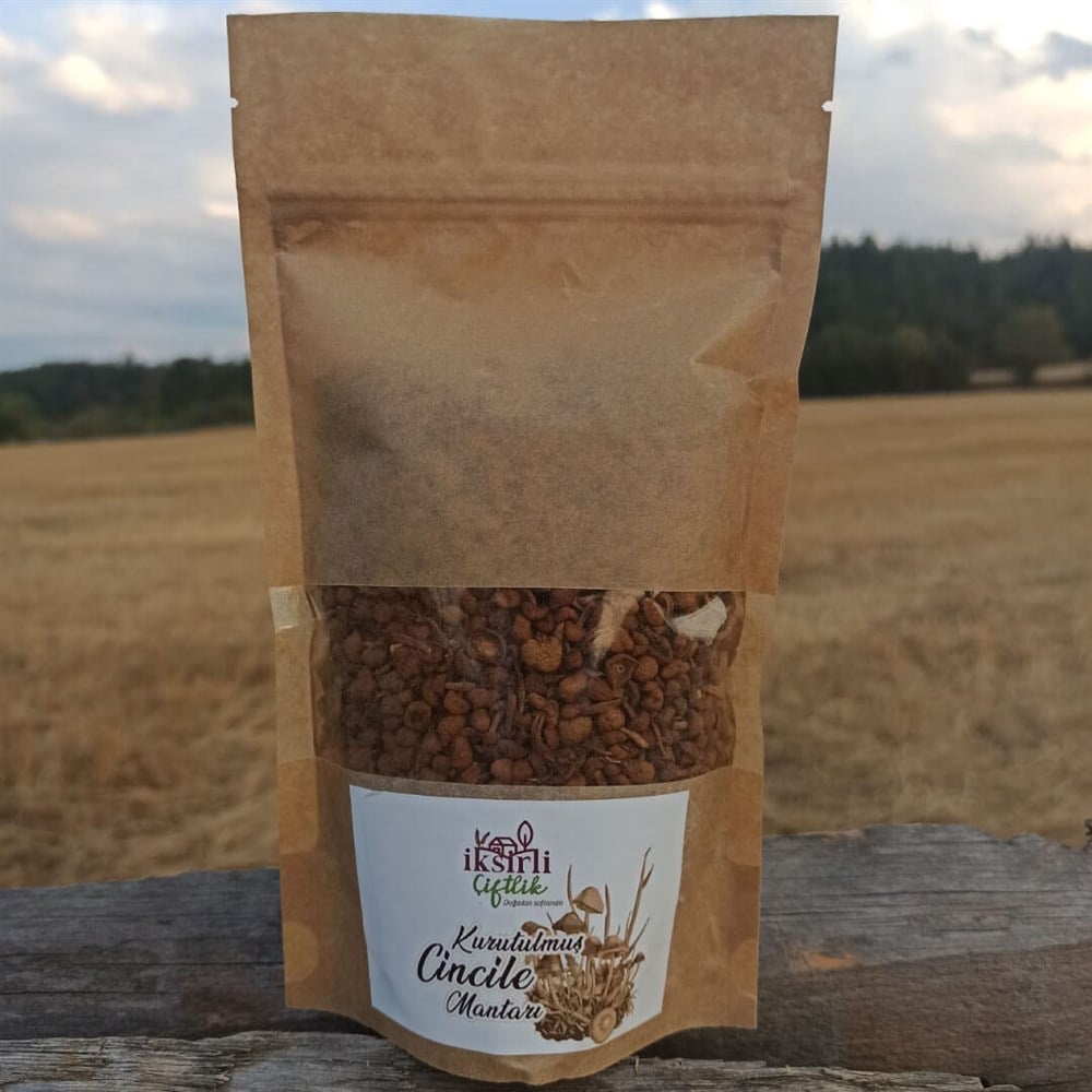 Kuru Cincile Mantarı 100 gr.