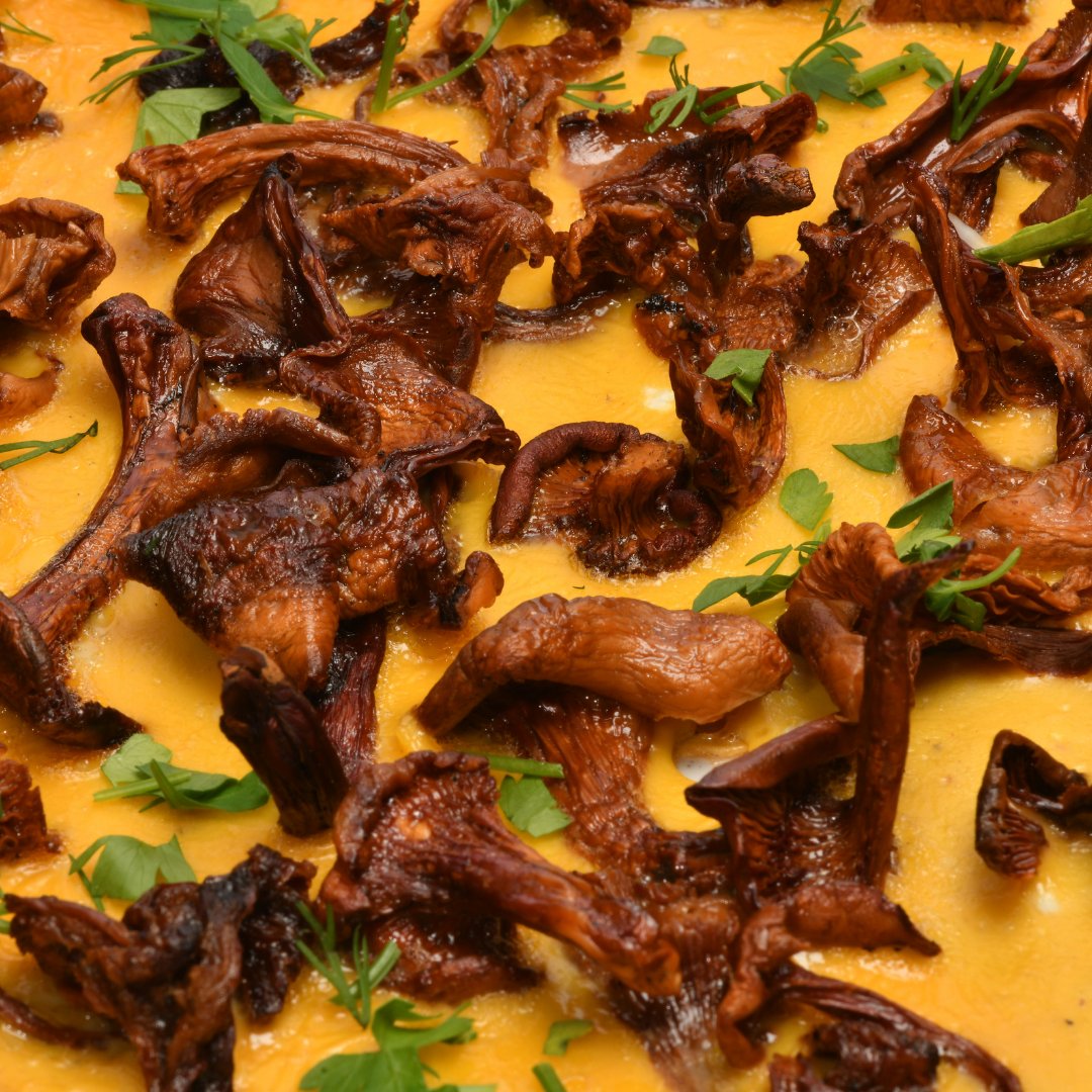 Kurutulmuş Kazayağı Mantarı 100 g