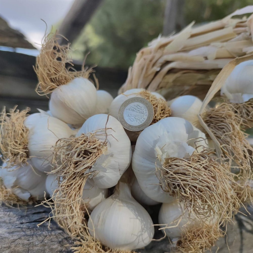 Taşköprü Sarımsağı 1000 g, 2021 Mahsülü