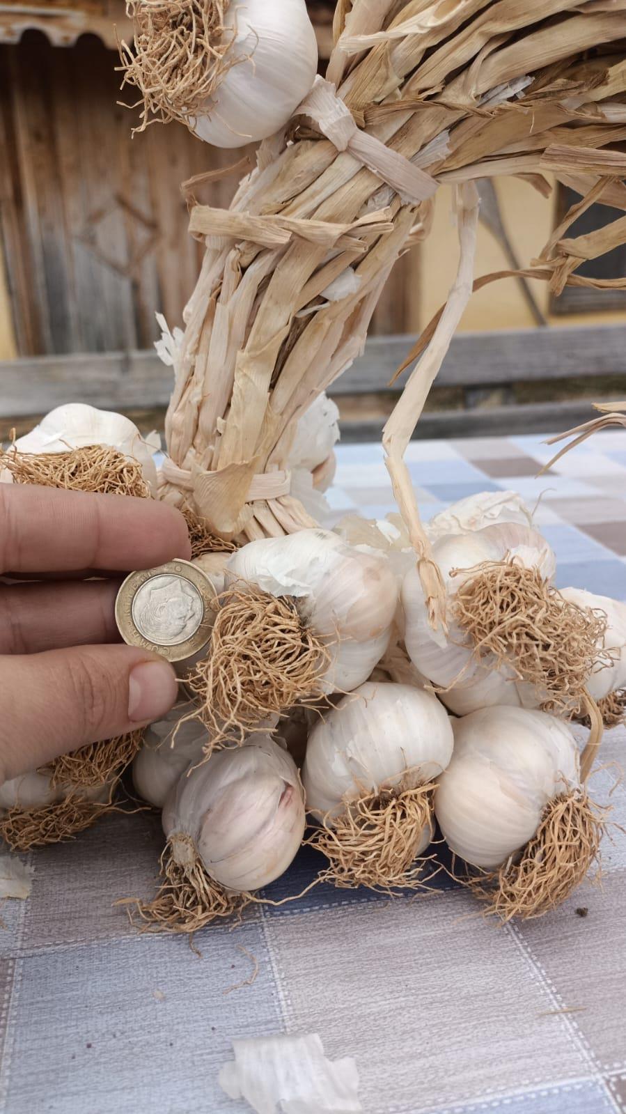 Taşköprü Sarımsağı 1000 g, 2025 Mahsülü