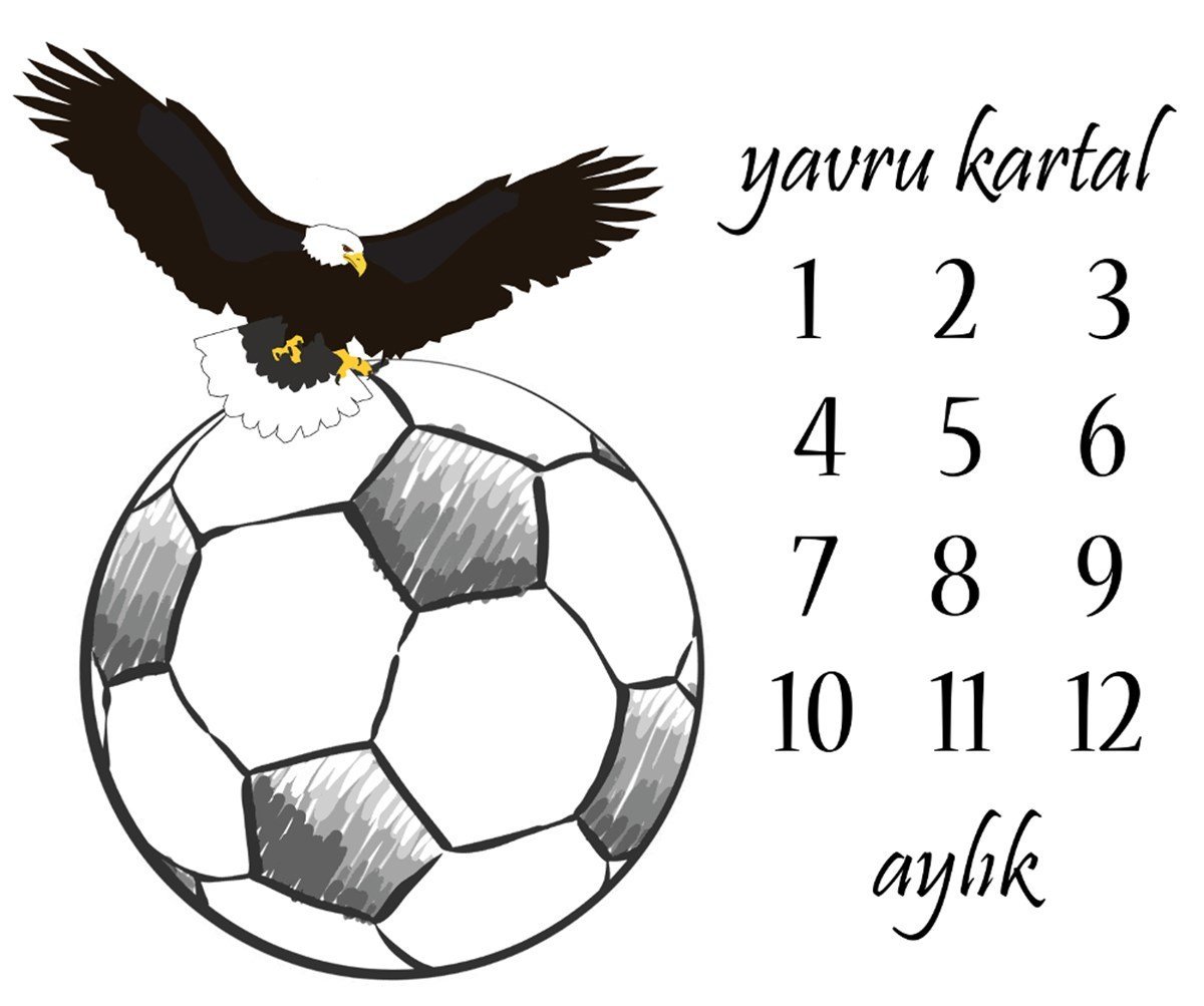 Milestone 6 Kartal