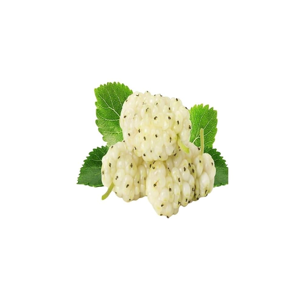 Beyaz Dut (500 Gr)