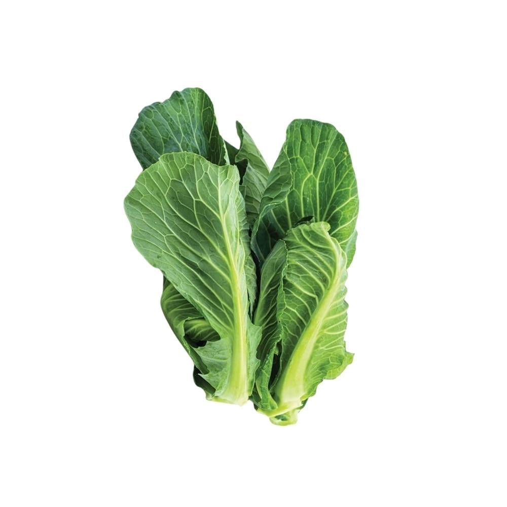 Cibes Otu (500 Gr) 