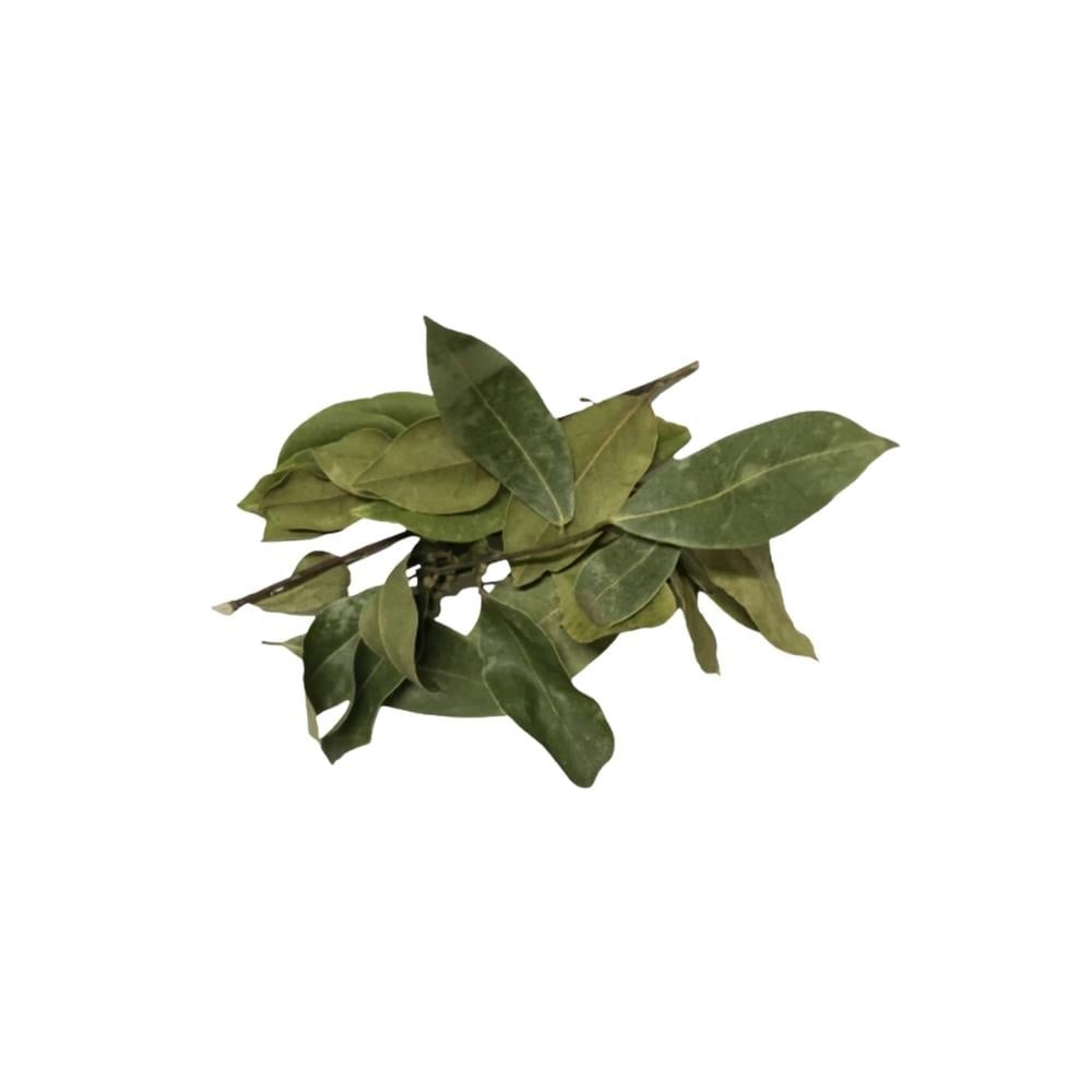 Defne Yaprağı Kurusu (25 Gr)
