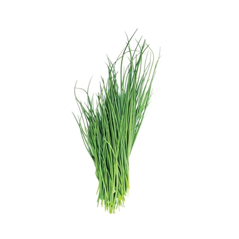 Frenk Soğanı Şiniklav (Chives) 25 Gr
