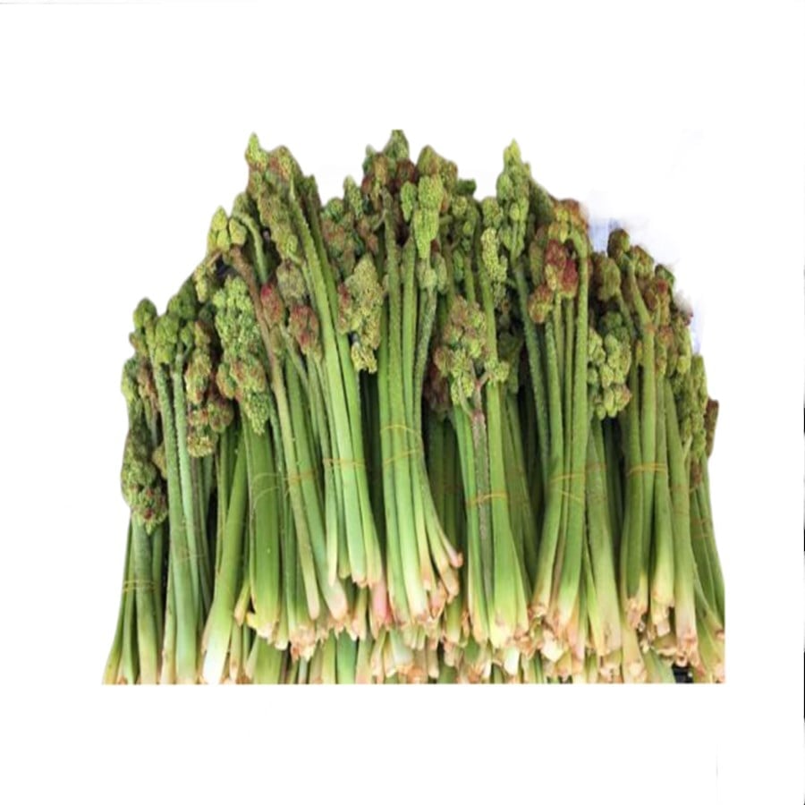 Işkın Otu (500 Gr)
