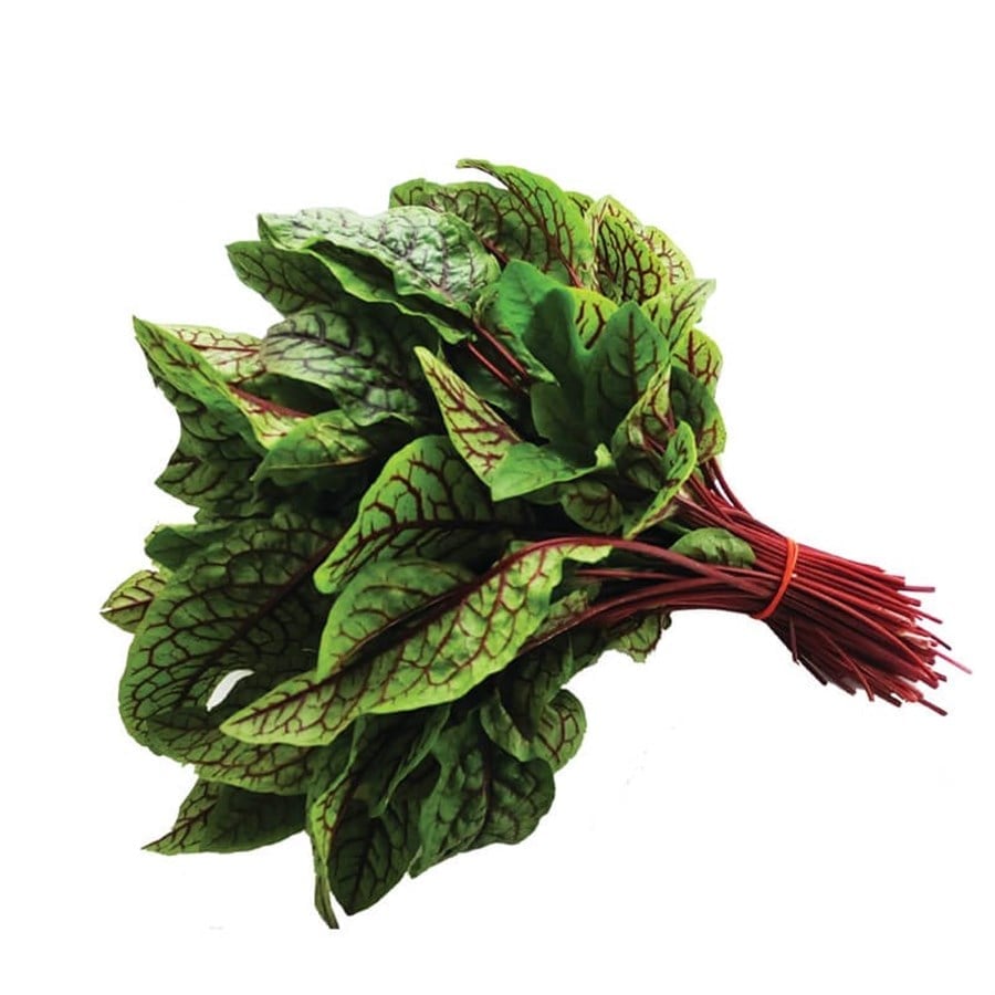 Kırmızı Kuzu Kulağı ( Demet)