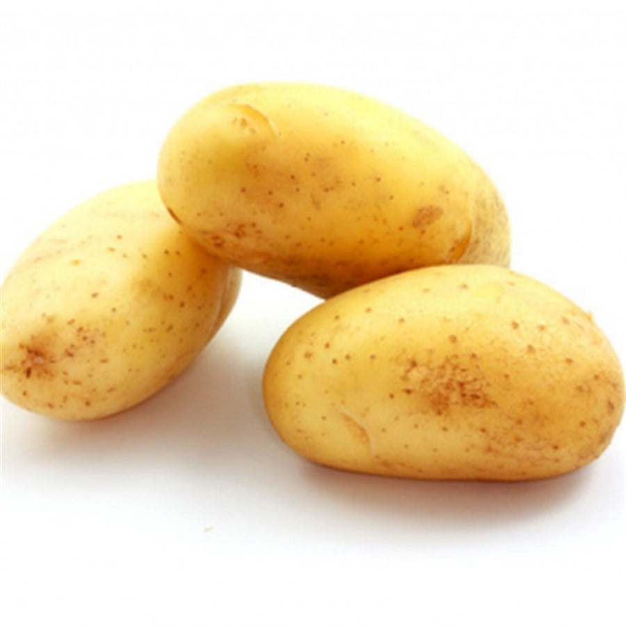 Kumpir Patates (1,5 Kg )