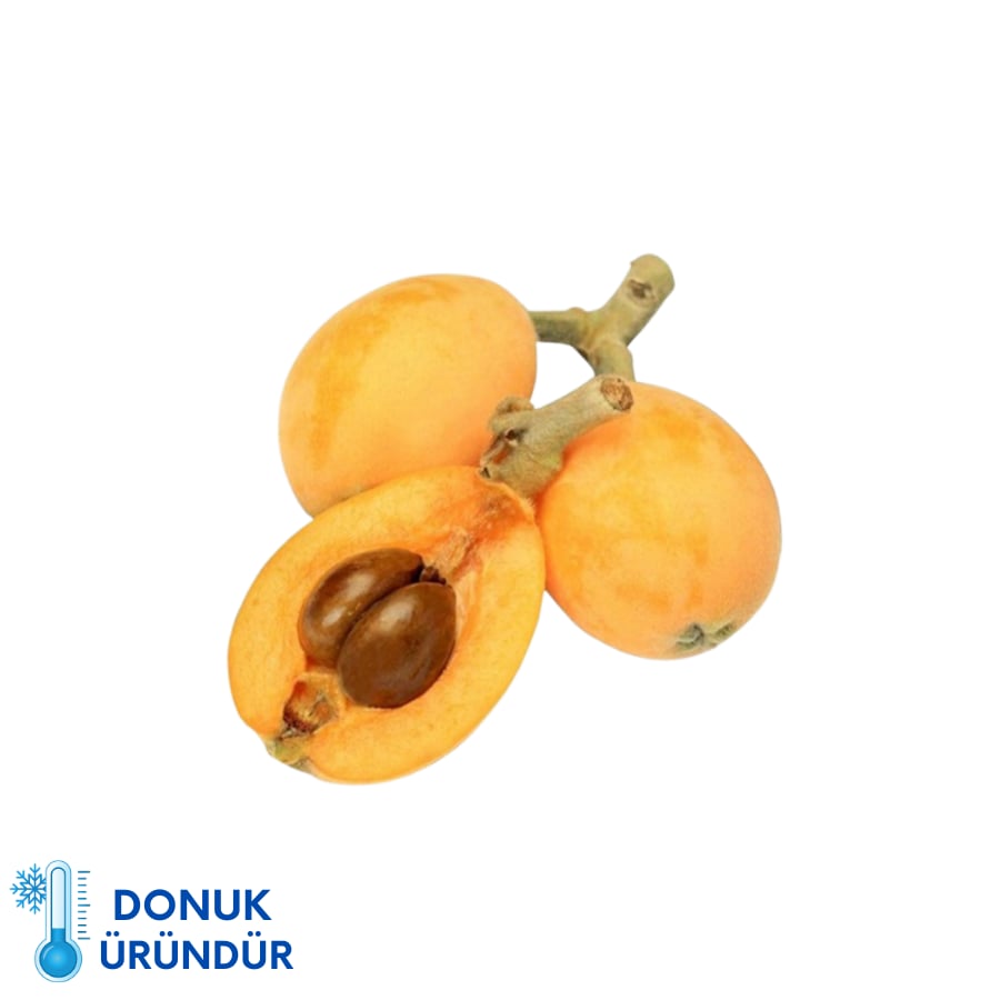 Malta Erik Dondurulmuş (250 Gr) 