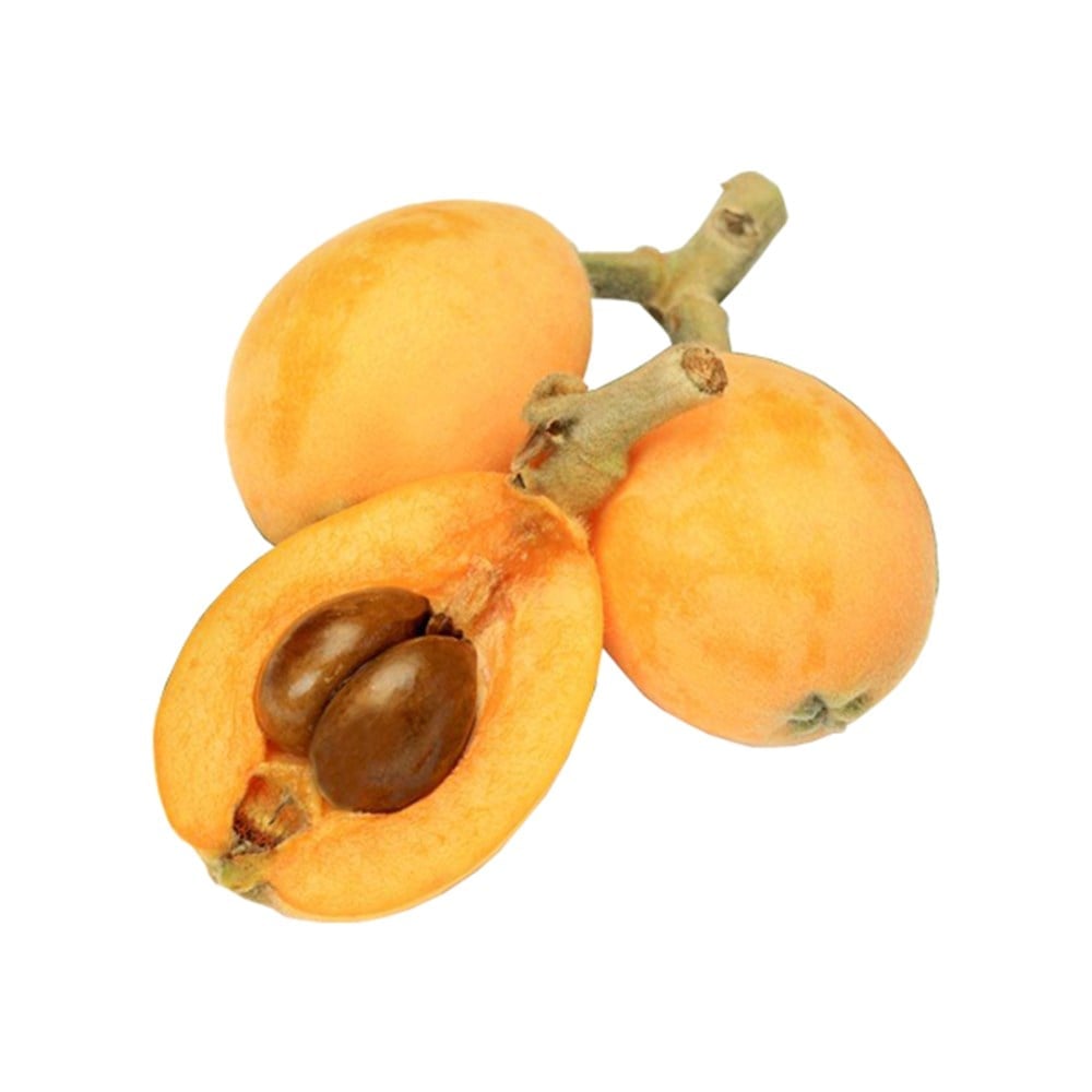 Malta Erik (Yeni Dünya) (500 Gr)