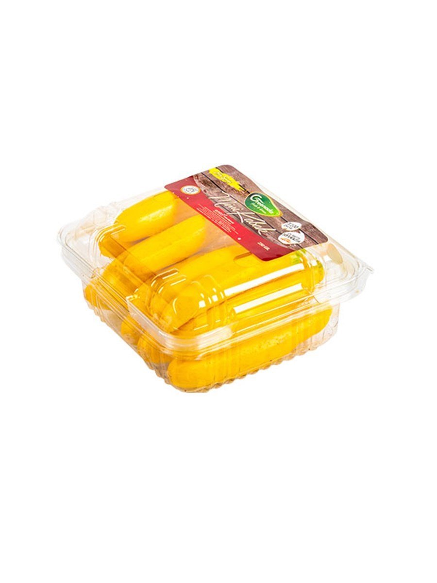 Mini Kabak Sarı (Baby Yellow Pumpkin)