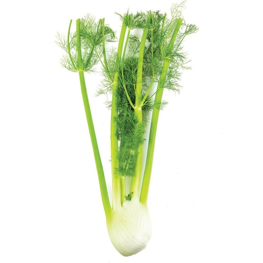 Rezene (Fennel) Adet
