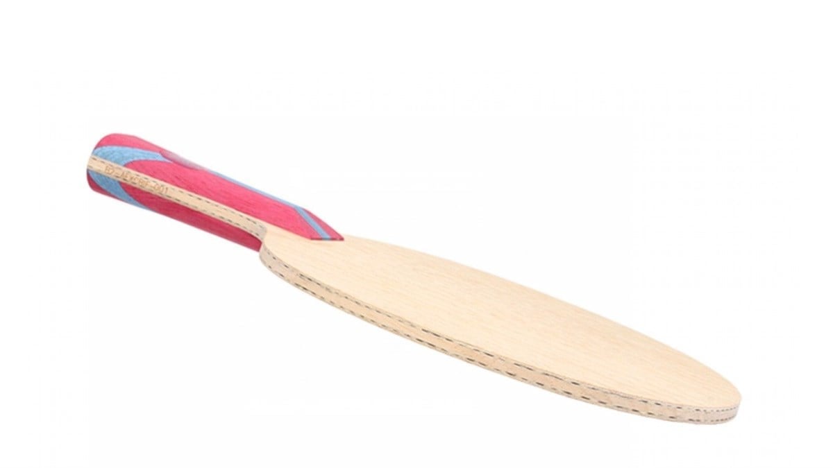 Dhs Fang Bo Carbon