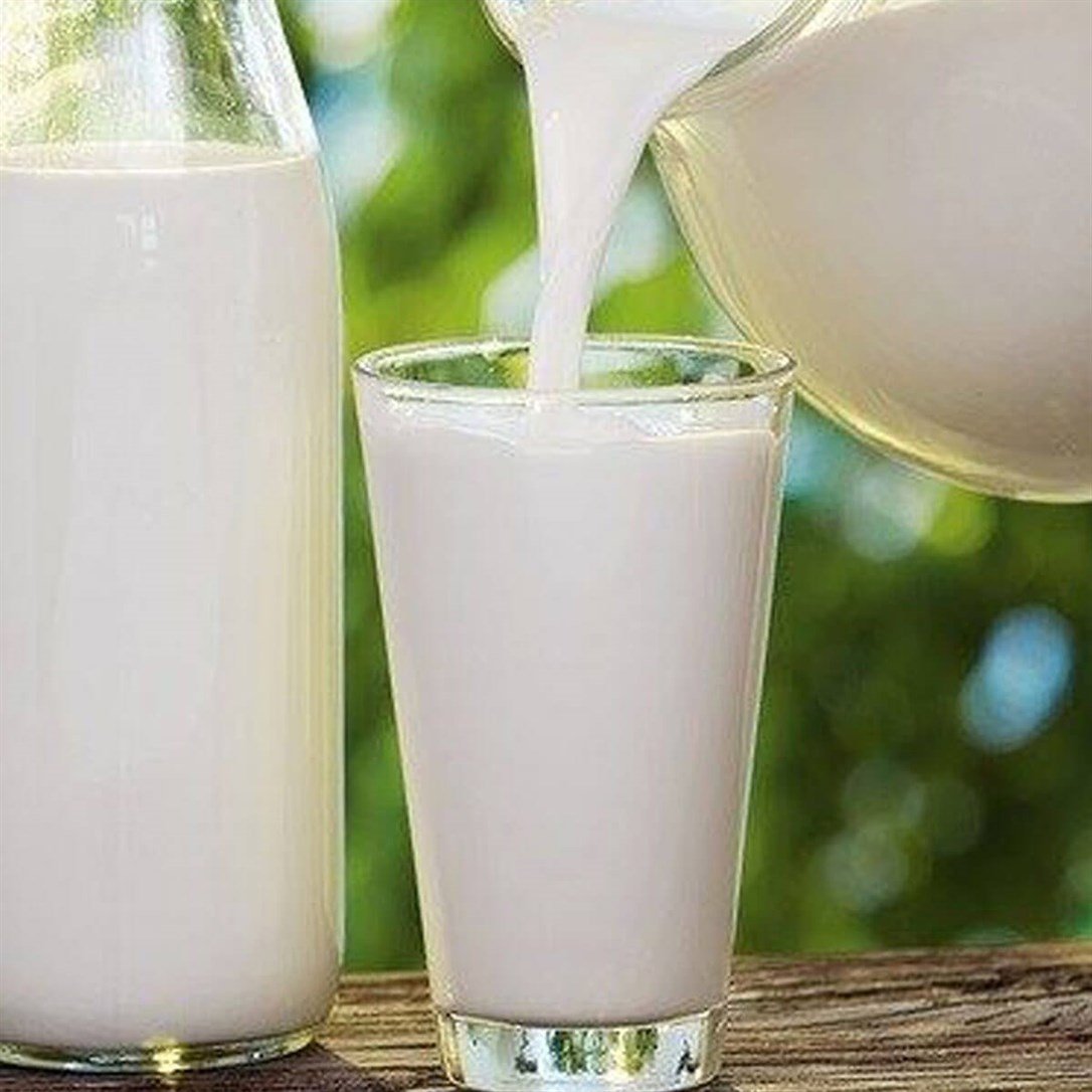 Günlük Çiğ İnek Sütü 1 Lt