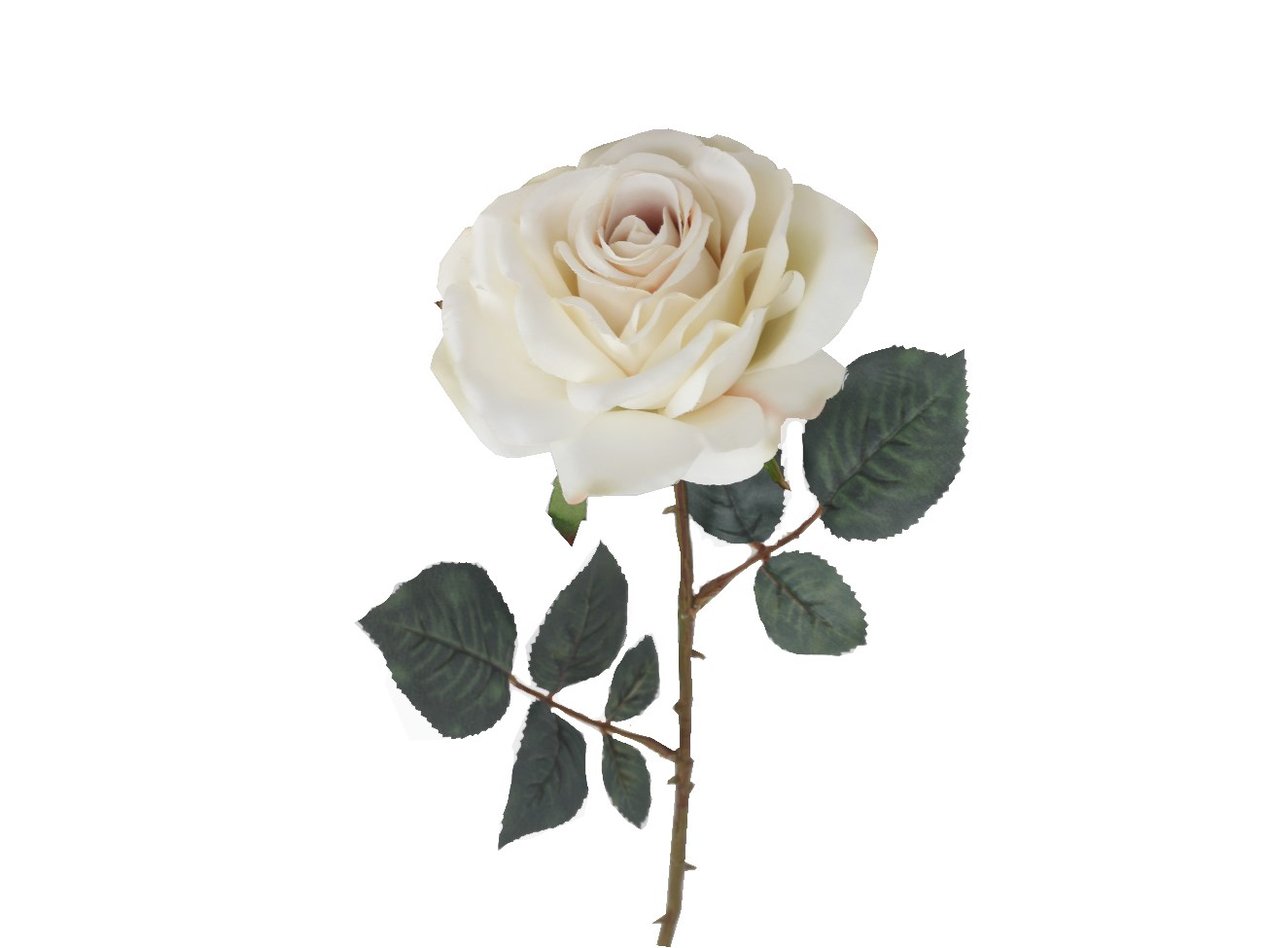 15-753 Cream