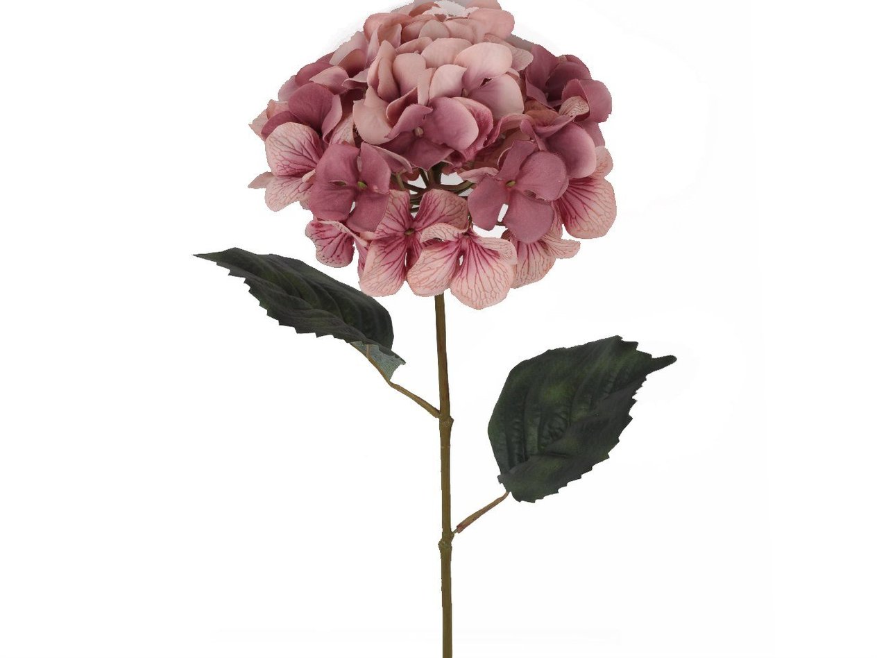 Pembe Çiçek