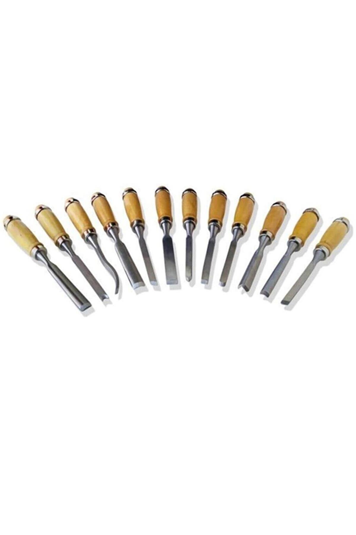 12 Piece Wood Carving Set