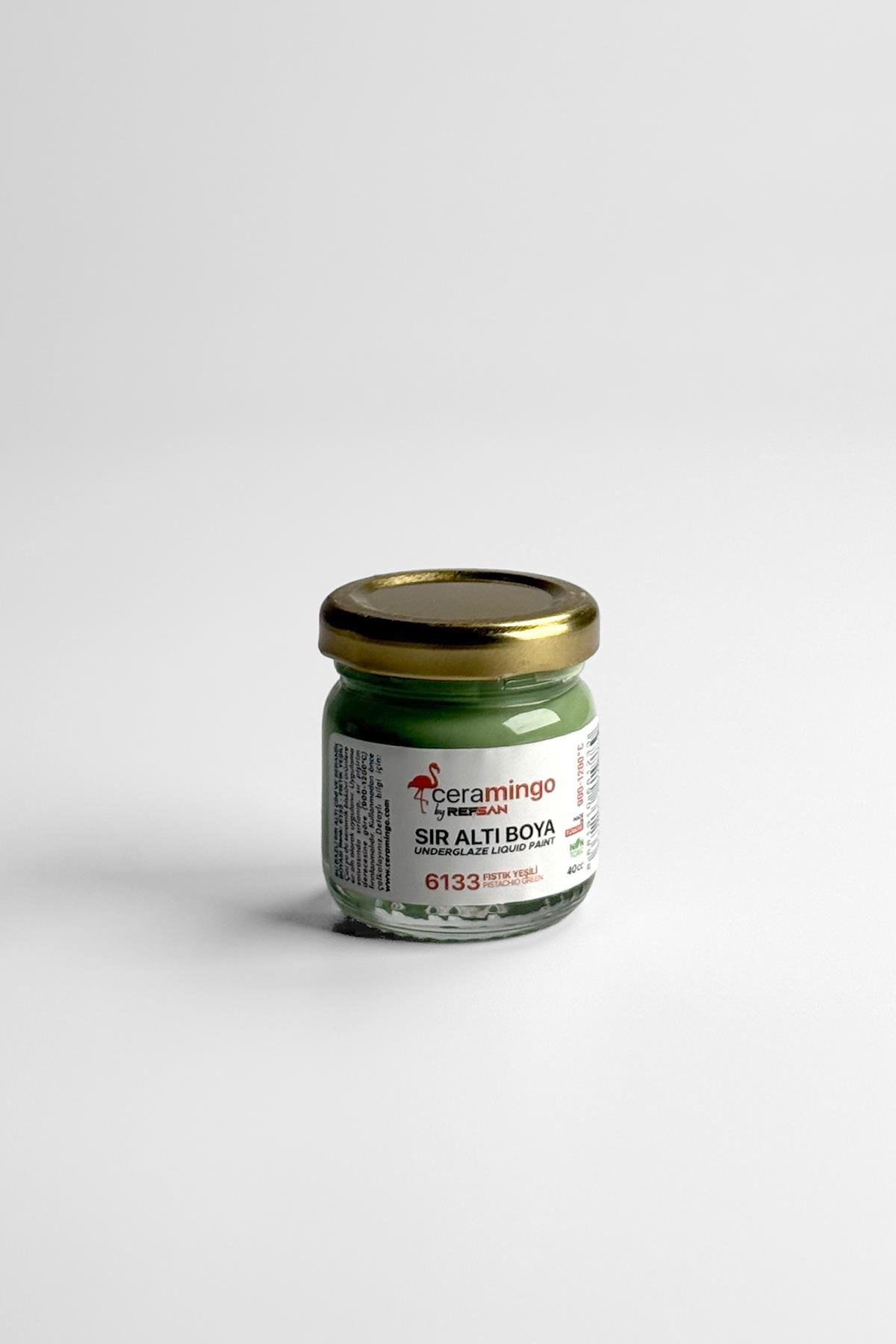 Ready To Use Tile And Ceramic Paint 6133 Pistachio Green