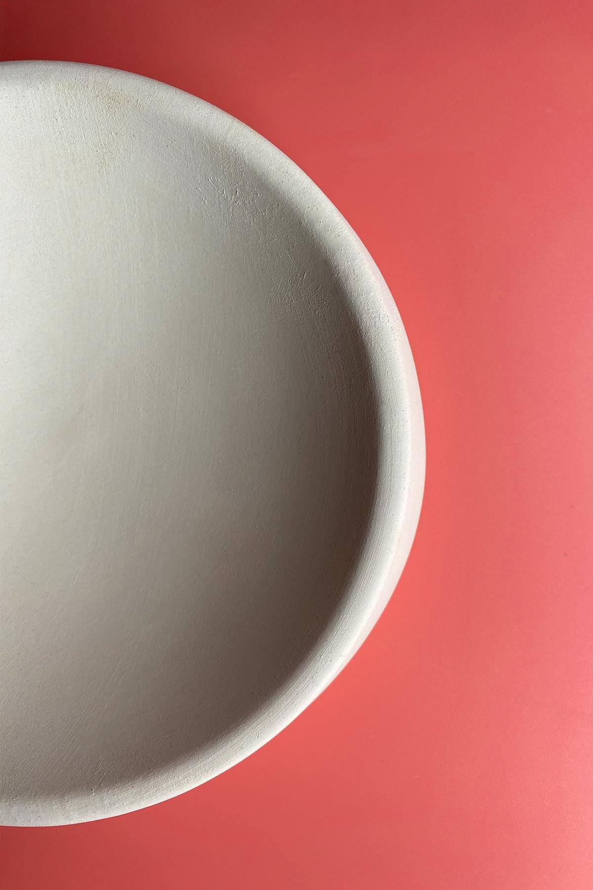 Cat And Dog Food Plate Ceramic Bisque