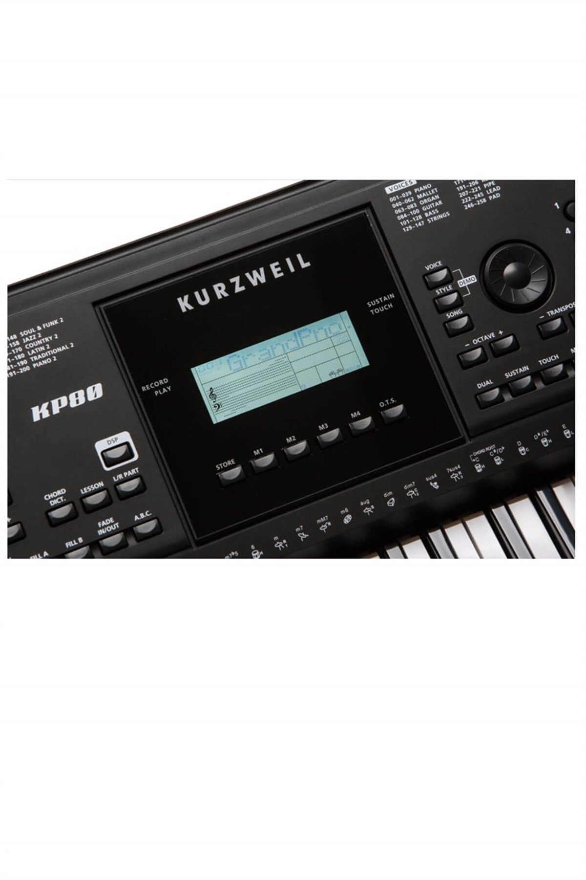 Kurzweil 61 Tuşlu Org Tuş Hassasiyetli Profesyonel KP80 (Adaptör Notalık Behringer Kulaklık)
