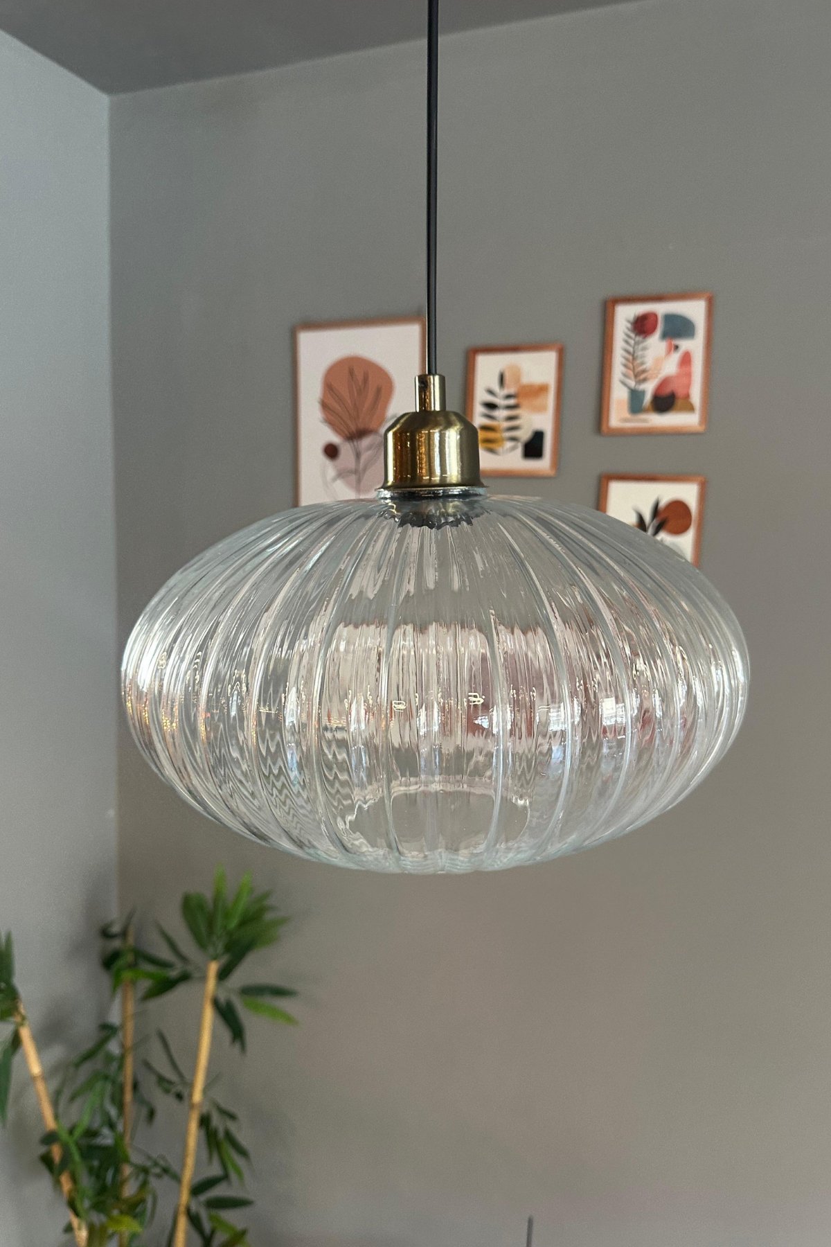 Elegant Şeffaf Cam Tekli Avize Yarım Lale Başlık Sarkıt Lamba Restoran Salon Aydınlatma