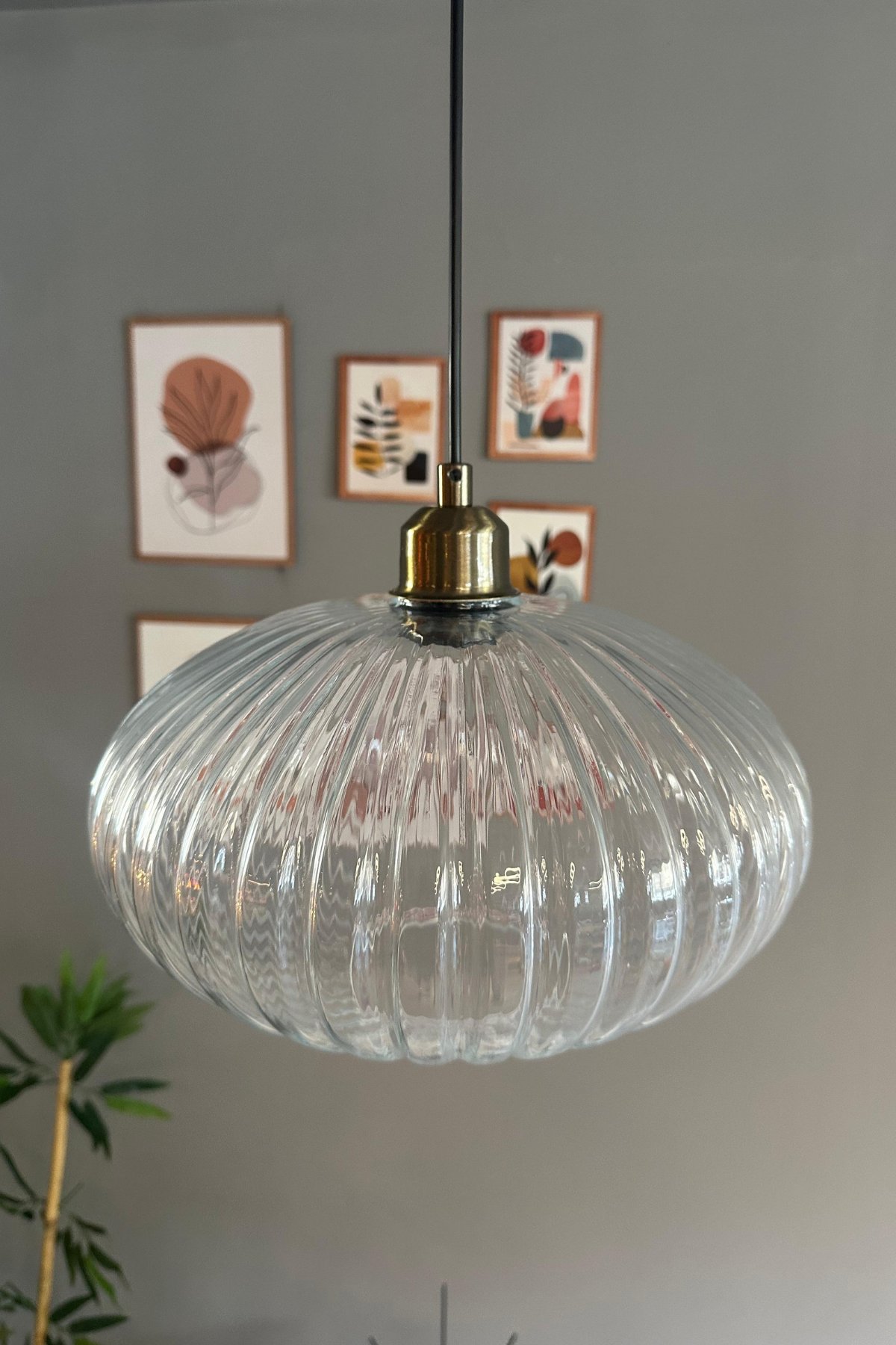 Elegant Şeffaf Cam Tekli Avize Yarım Lale Başlık Sarkıt Lamba Restoran Salon Aydınlatma