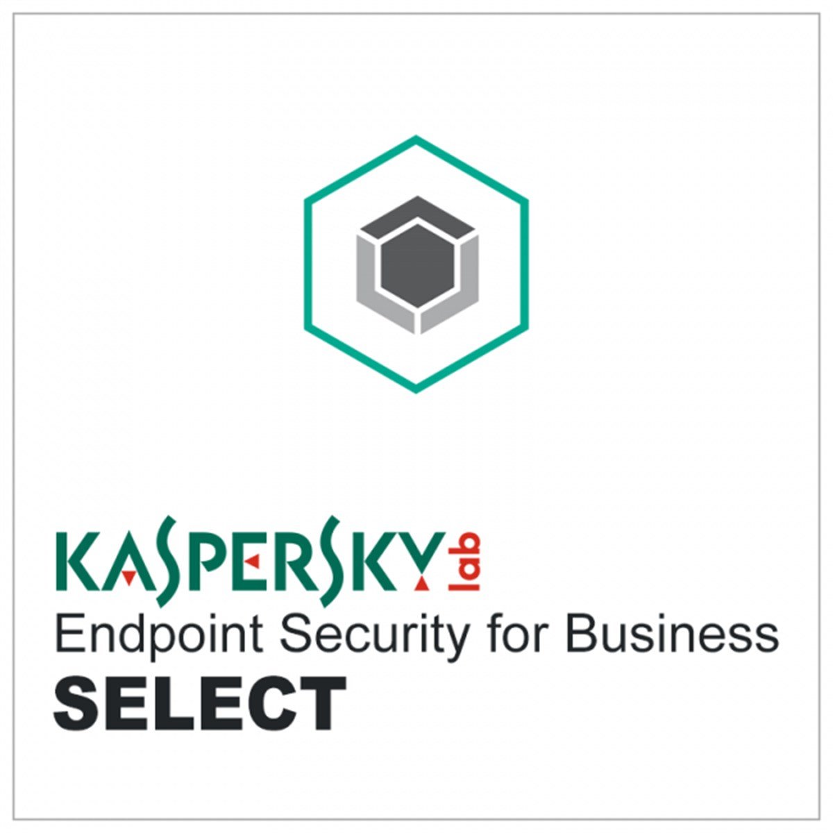 Antivirüs ve Güvenlik Yazılımları | DijitalKaspersky Endpoint Security for Business SELECT 1 YılKL4863AASTR