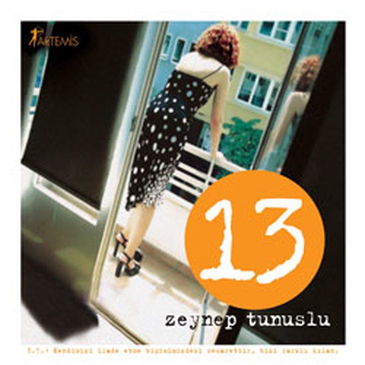 Zeynep TunusluTürkiye Roman13